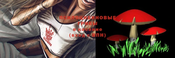 гашик Нягань