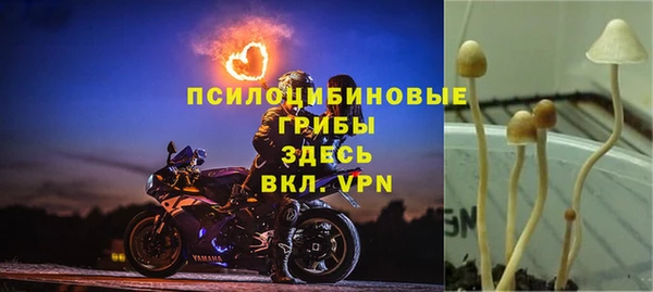 гашик Нягань