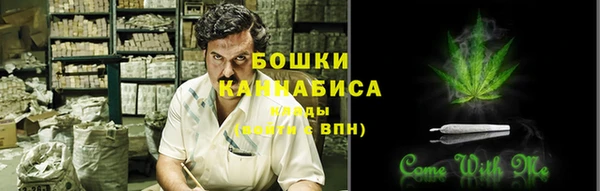 стафф Осташков