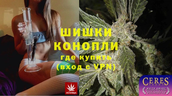 Альфа ПВП Няндома