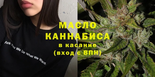 Альфа ПВП Няндома