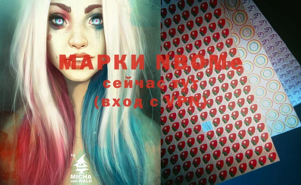Альфа ПВП Няндома