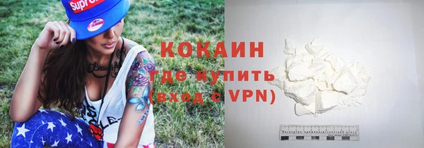 Альфа ПВП Няндома
